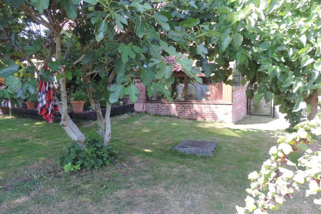Vakantiewoning Zoetebeek أودينارد المظهر الخارجي الصورة